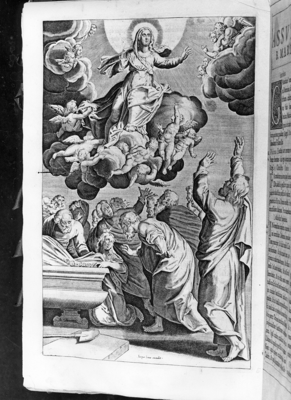 assunzione della Madonna (stampa) di Isaac Jaspar de (sec. XVII)