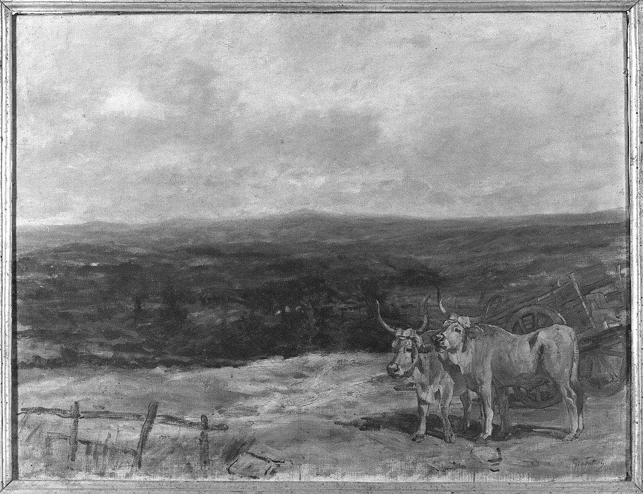paesaggio con animali (dipinto) di Fattori Giovanni (seconda metà sec. XIX)