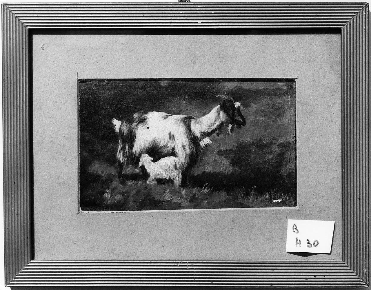 capra (dipinto) - ambito napoletano (inizio sec. XX)