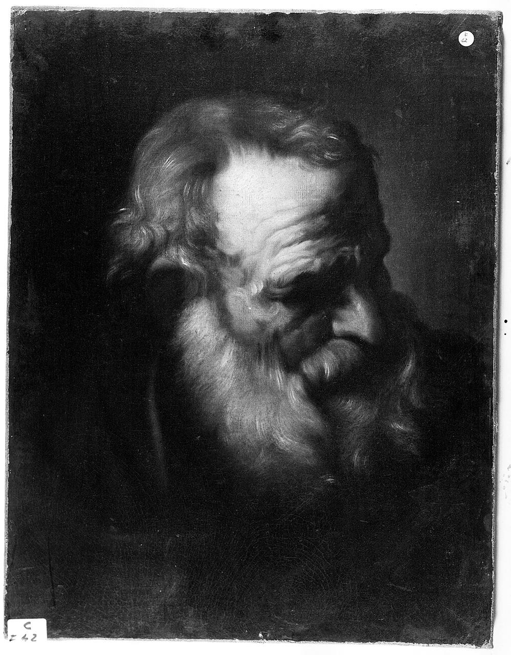 testa d'uomo con barba (dipinto) - ambito romano (metà sec. XVII)