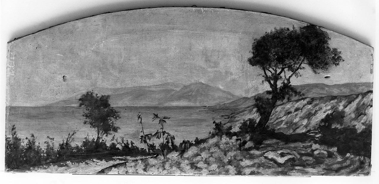 paesaggio (dipinto) di La Volpe Alessandro (seconda metà sec. XIX)