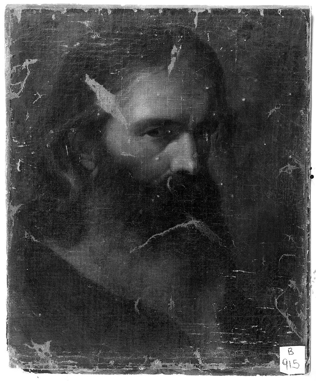 testa d'uomo con barba (dipinto) - ambito romano (seconda metà sec. XIX)