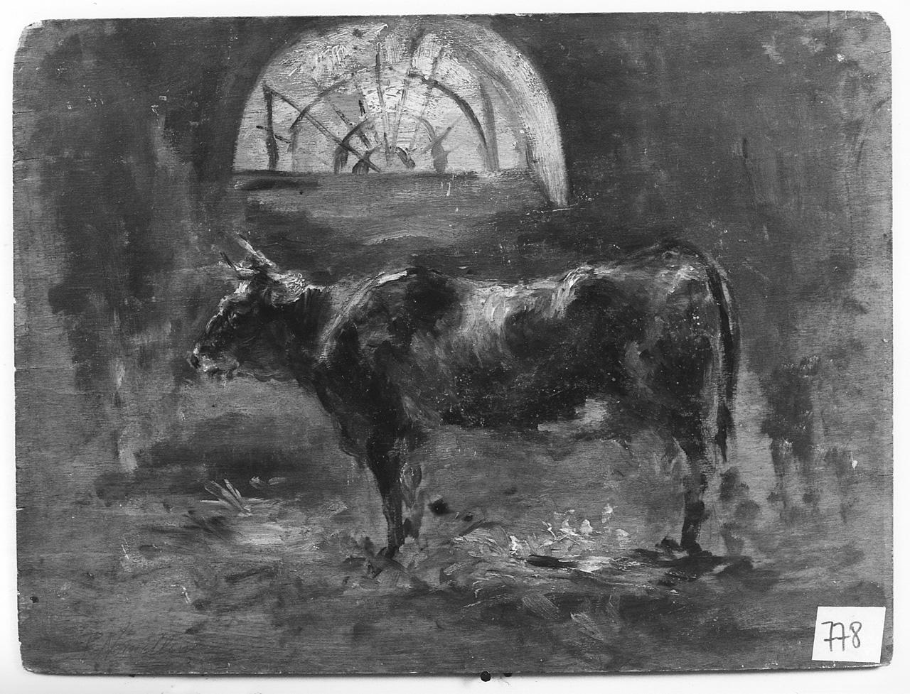 mucca (dipinto) - ambito romano (primo quarto sec. XX)