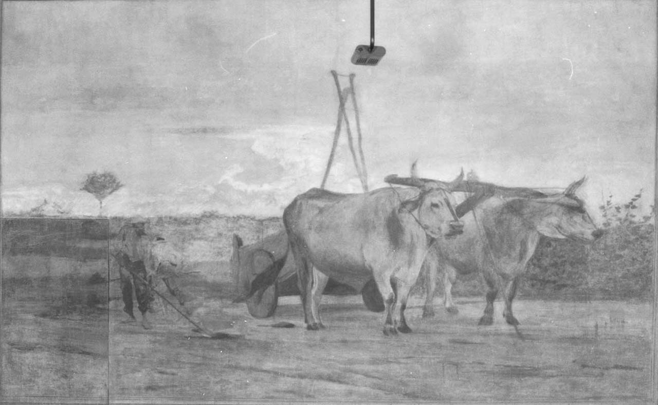 Raccolta del letame, paesaggio con buoi al carro (dipinto) di Boldini Giovanni (sec. XIX)
