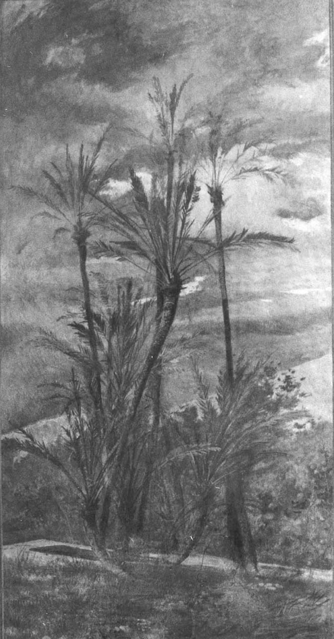 paesaggio con palme e aranci (dipinto) di Boldini Giovanni (sec. XIX)
