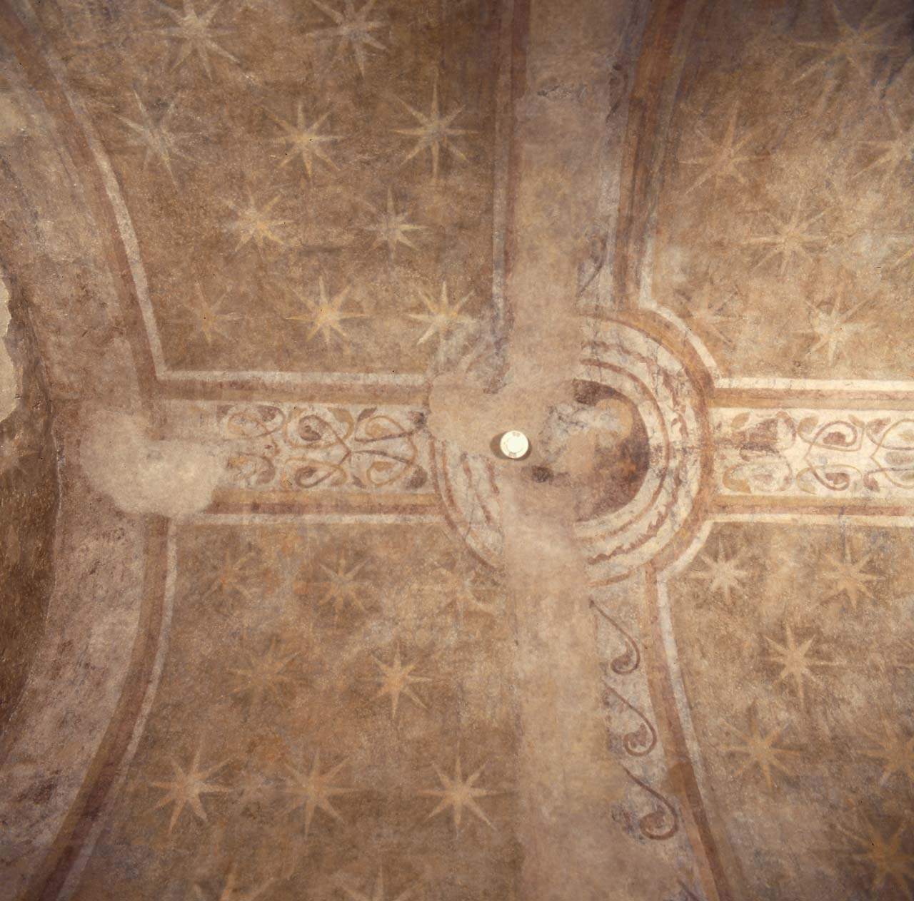 motivi decorativi a tralci (dipinto, ciclo) - ambito pistoiese (sec. XII)