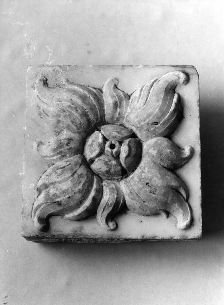 motivo decorativo a rosette (rilievo) - bottega toscana (prima metà sec. XVII)