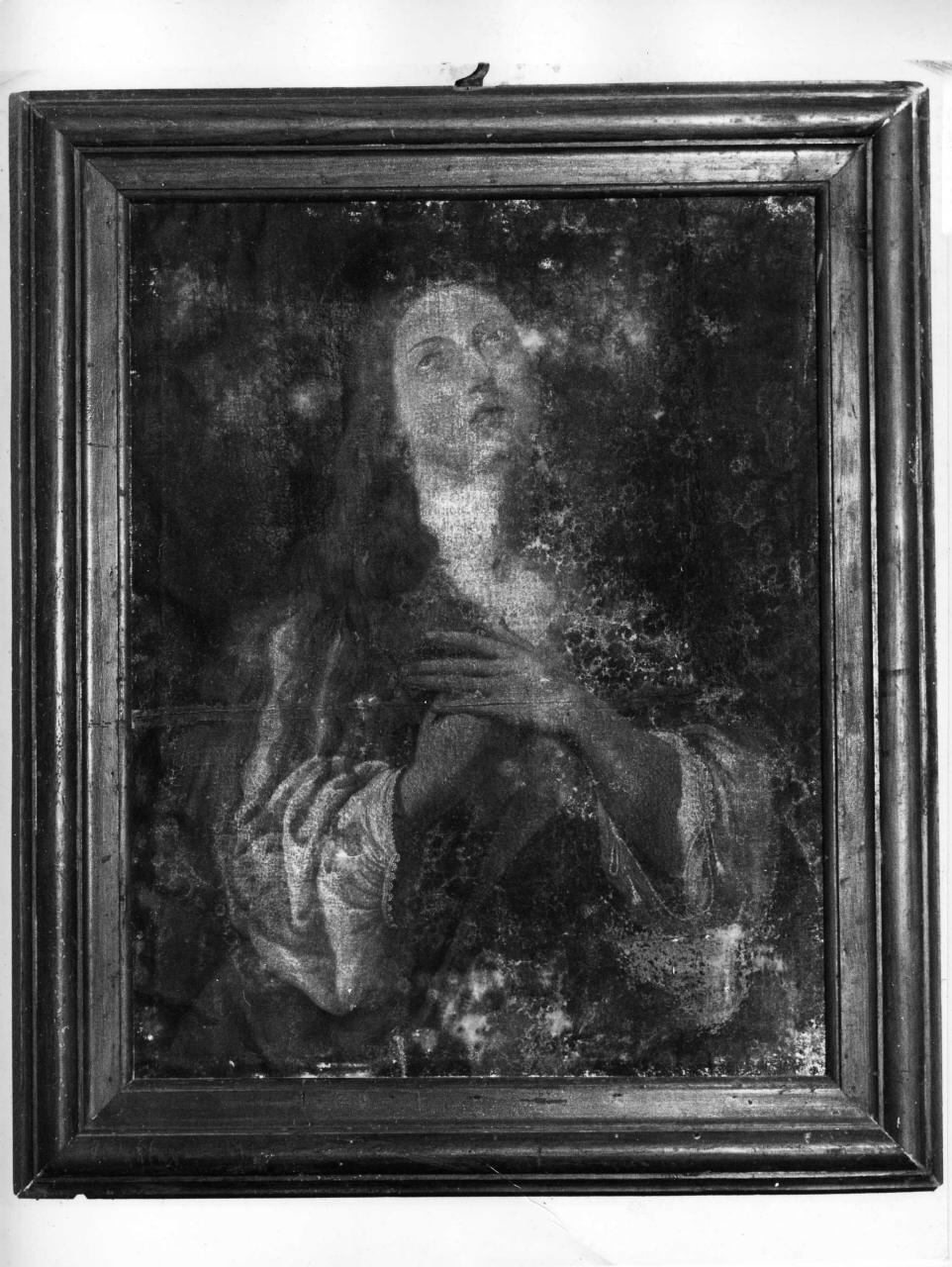 Santa Maria Maddalena penitente (dipinto) - ambito toscano (sec. XVII)