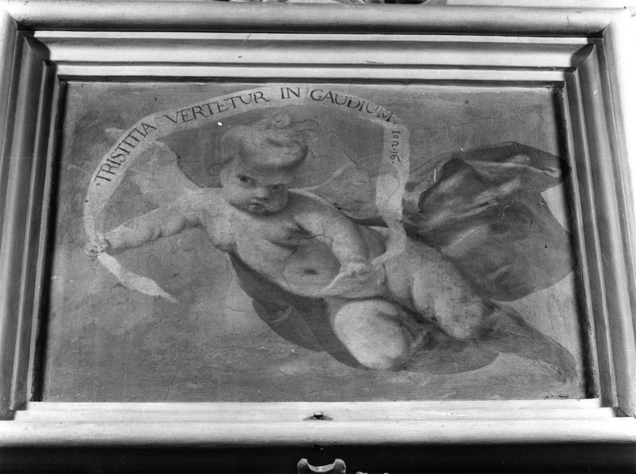 putto alato (dipinto) di Ferretti Giovanni Domenico (sec. XVIII)