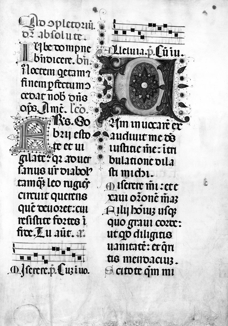 lettera C (miniatura) - ambito fiorentino (sec. XV)