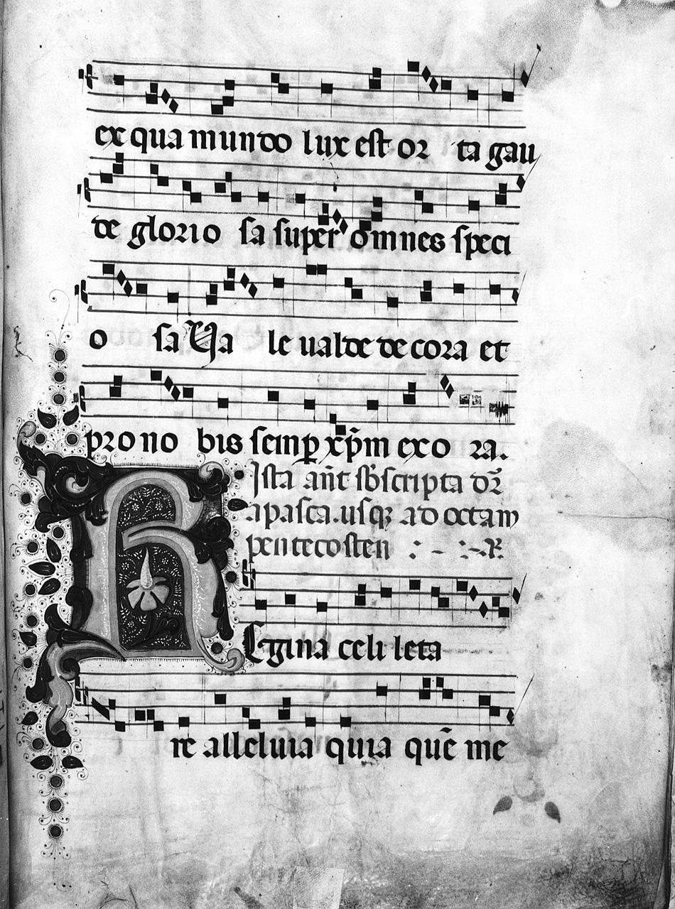 lettera R (miniatura) - ambito fiorentino (sec. XV)