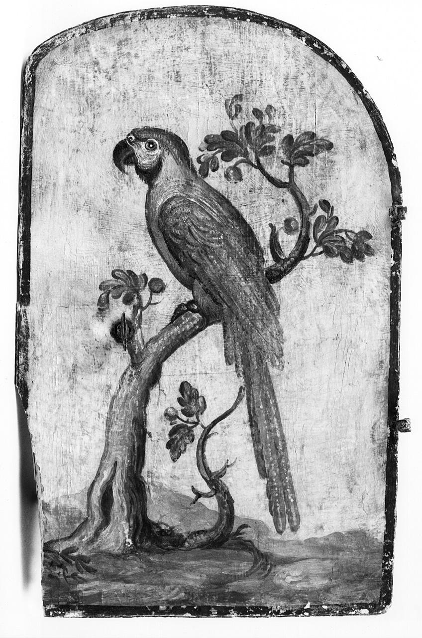 pappagallo (sportello) di Carobbi Emilio (seconda metà sec. XIX)