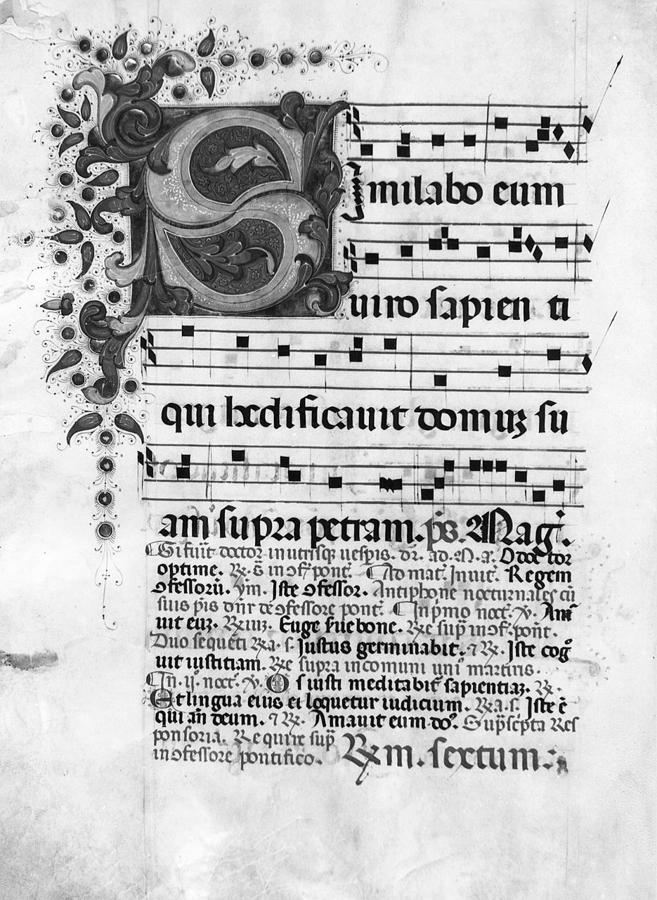 lettera S (miniatura) - ambito fiorentino (sec. XV)