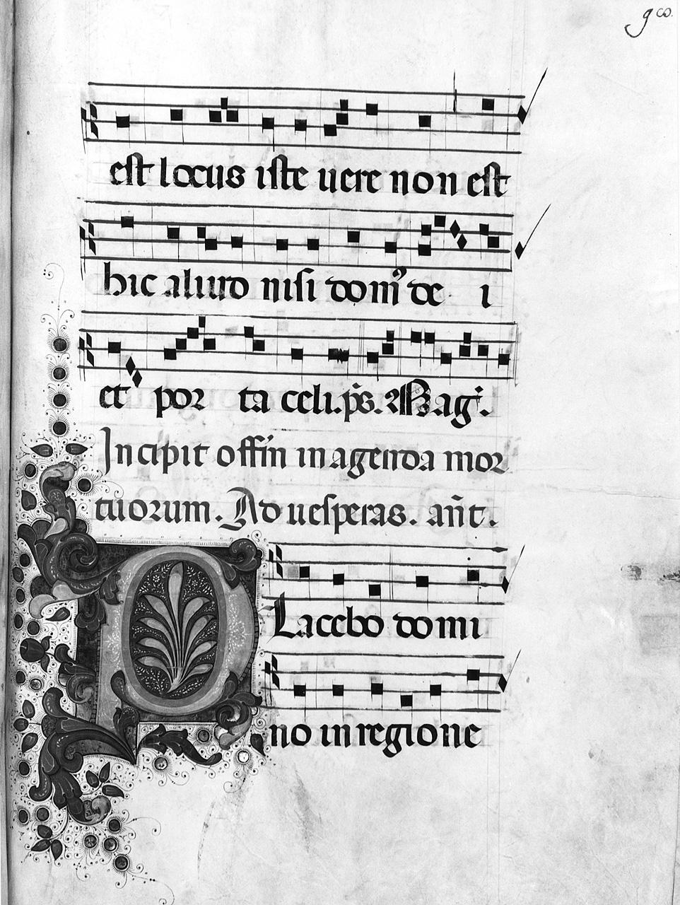 lettera P (miniatura) - ambito fiorentino (sec. XV)