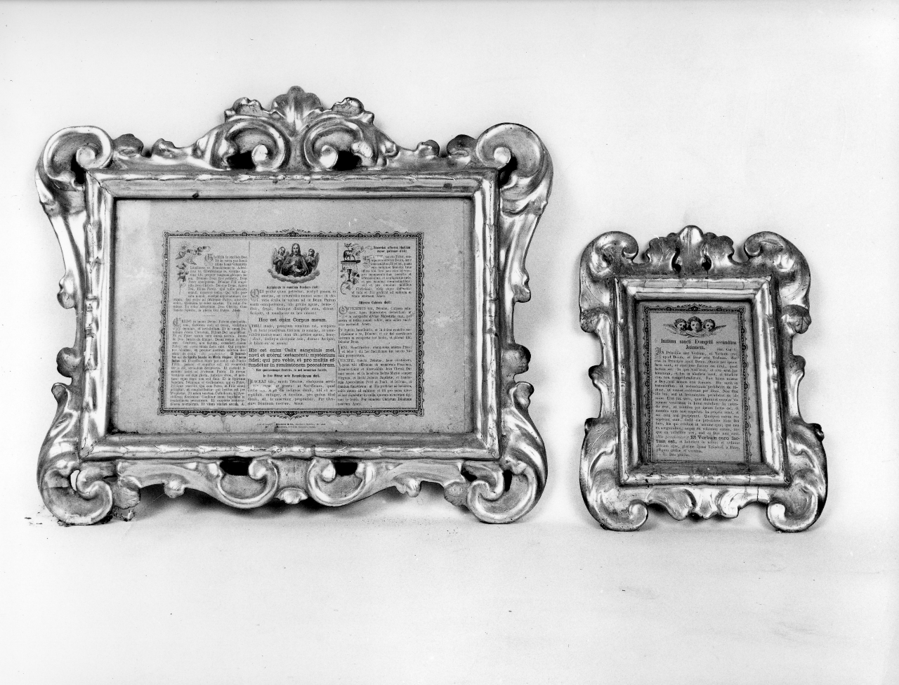 motivo decorativo a volute (cartagloria, serie) - bottega toscana (prima metà sec. XIX)