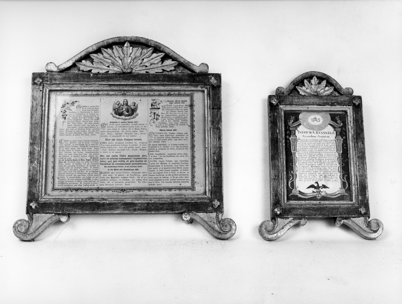 motivo decorativo fitomorfo (cartagloria, serie) - bottega toscana (metà sec. XIX)