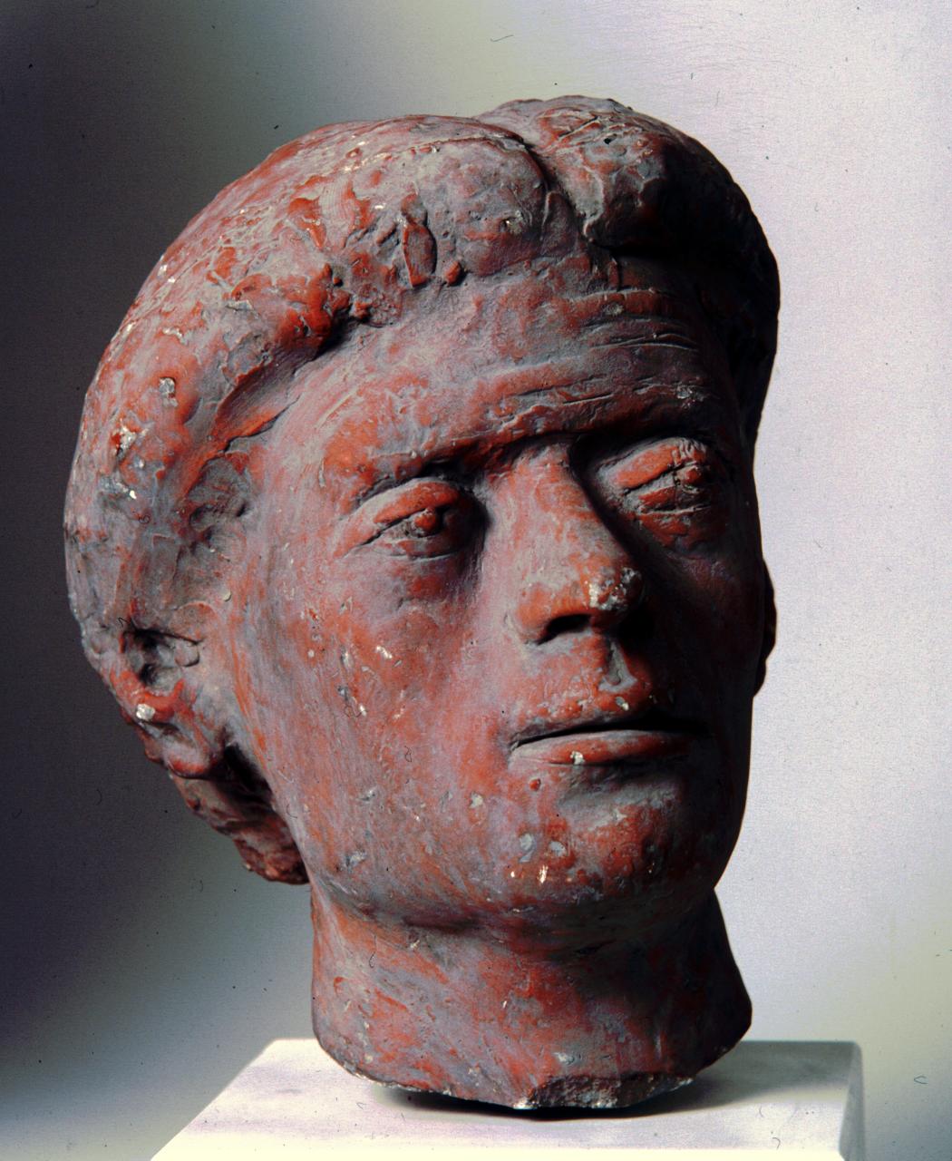 ritratto di un allievo (busto) di Marini Marino (sec. XX)