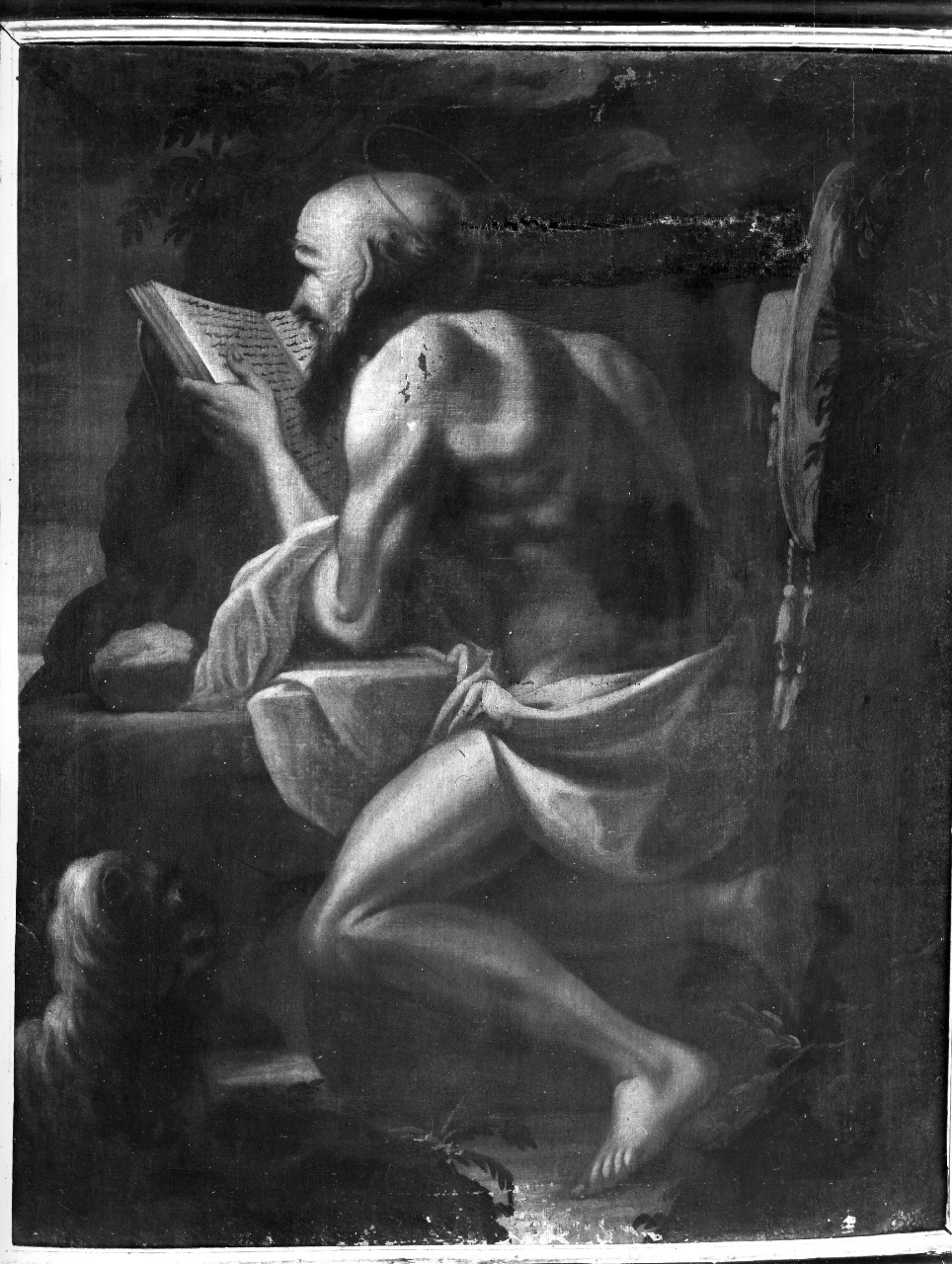 San Girolamo (dipinto) - ambito fiorentino (metà sec. XVII)