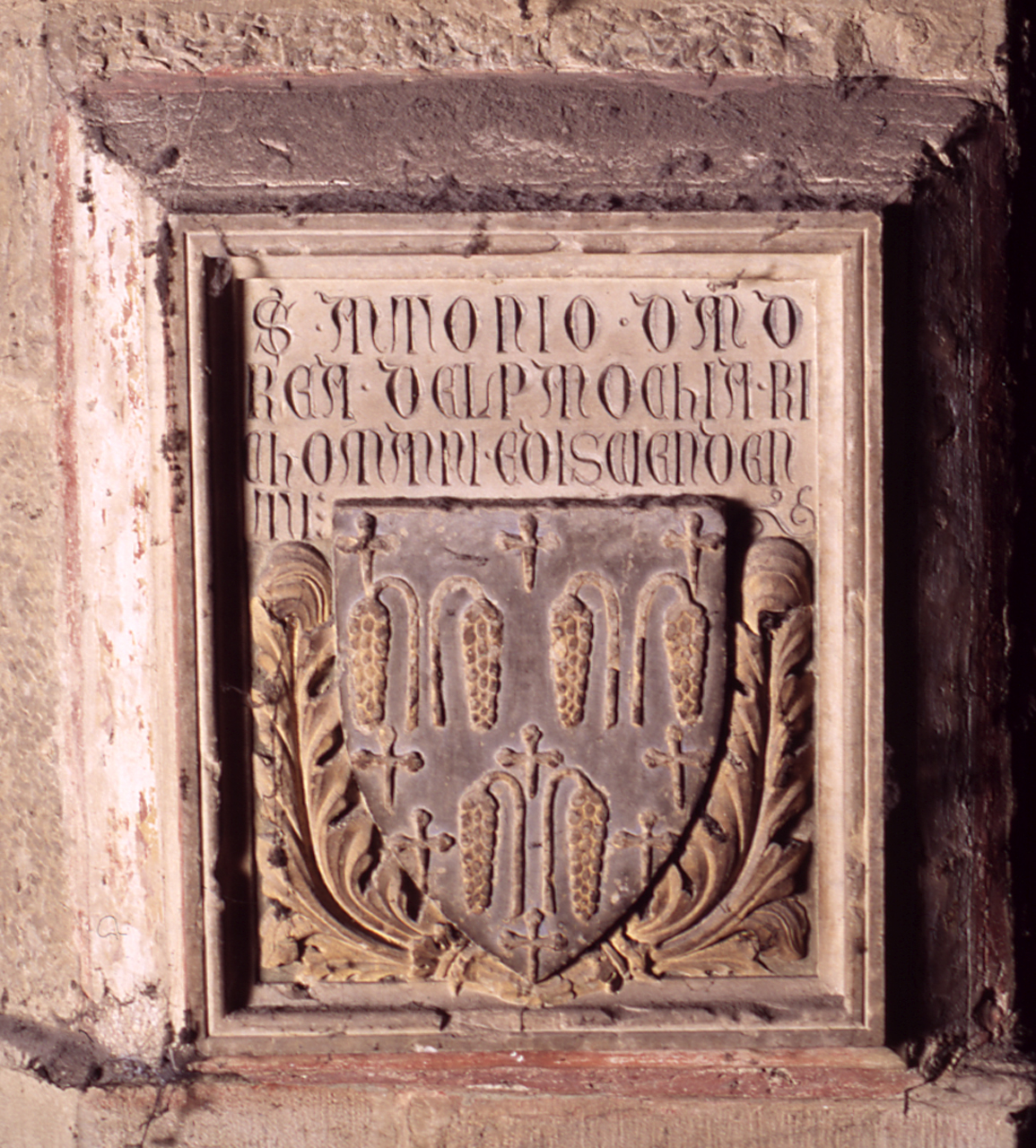 stemma gentilizio della famiglia Del Pannocchia Riccomanni (lapide tombale) - bottega fiorentina (sec. XIV)