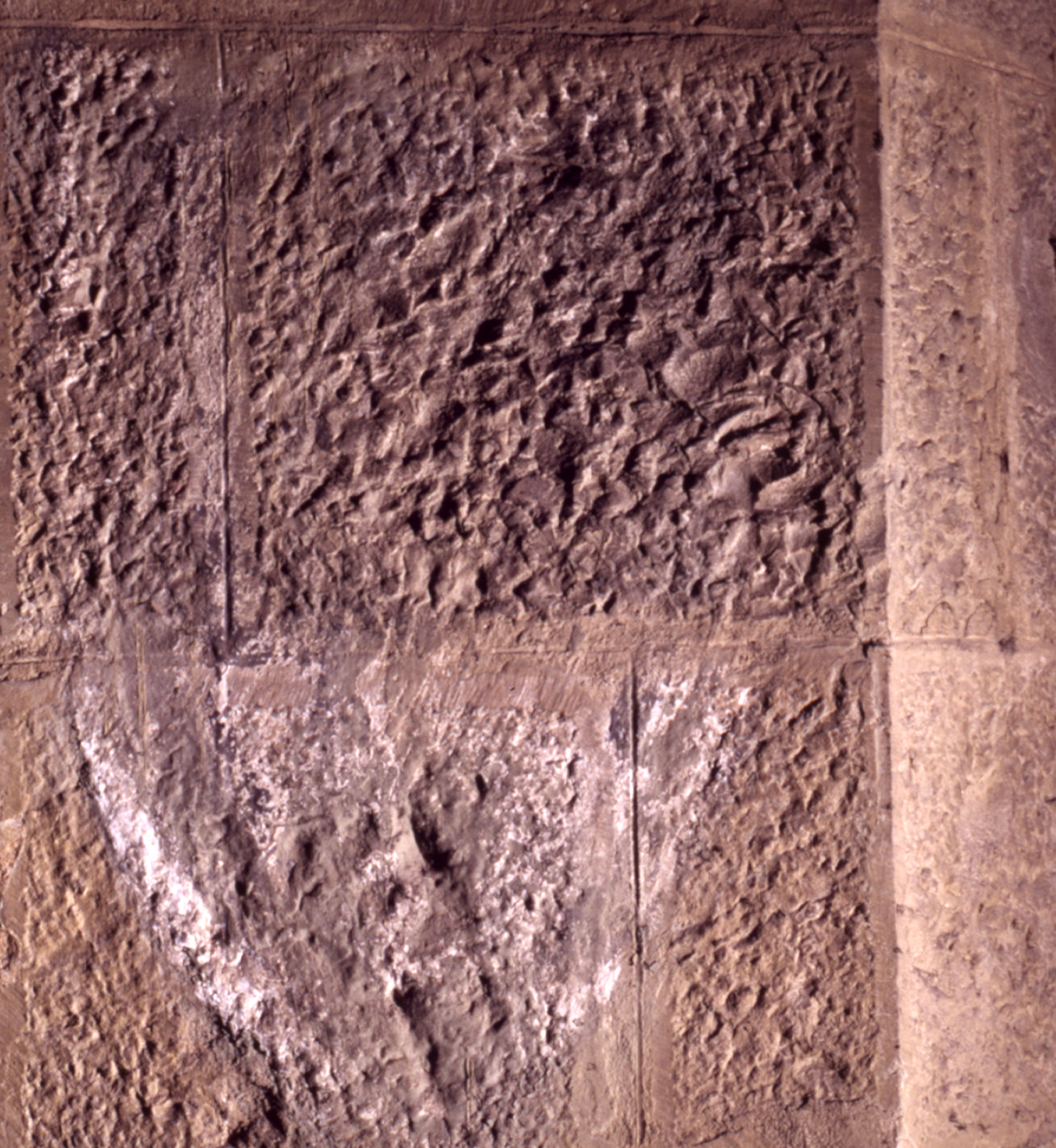 stemma gentilizio (dipinto) - ambito fiorentino (secc. XIV/ XV)