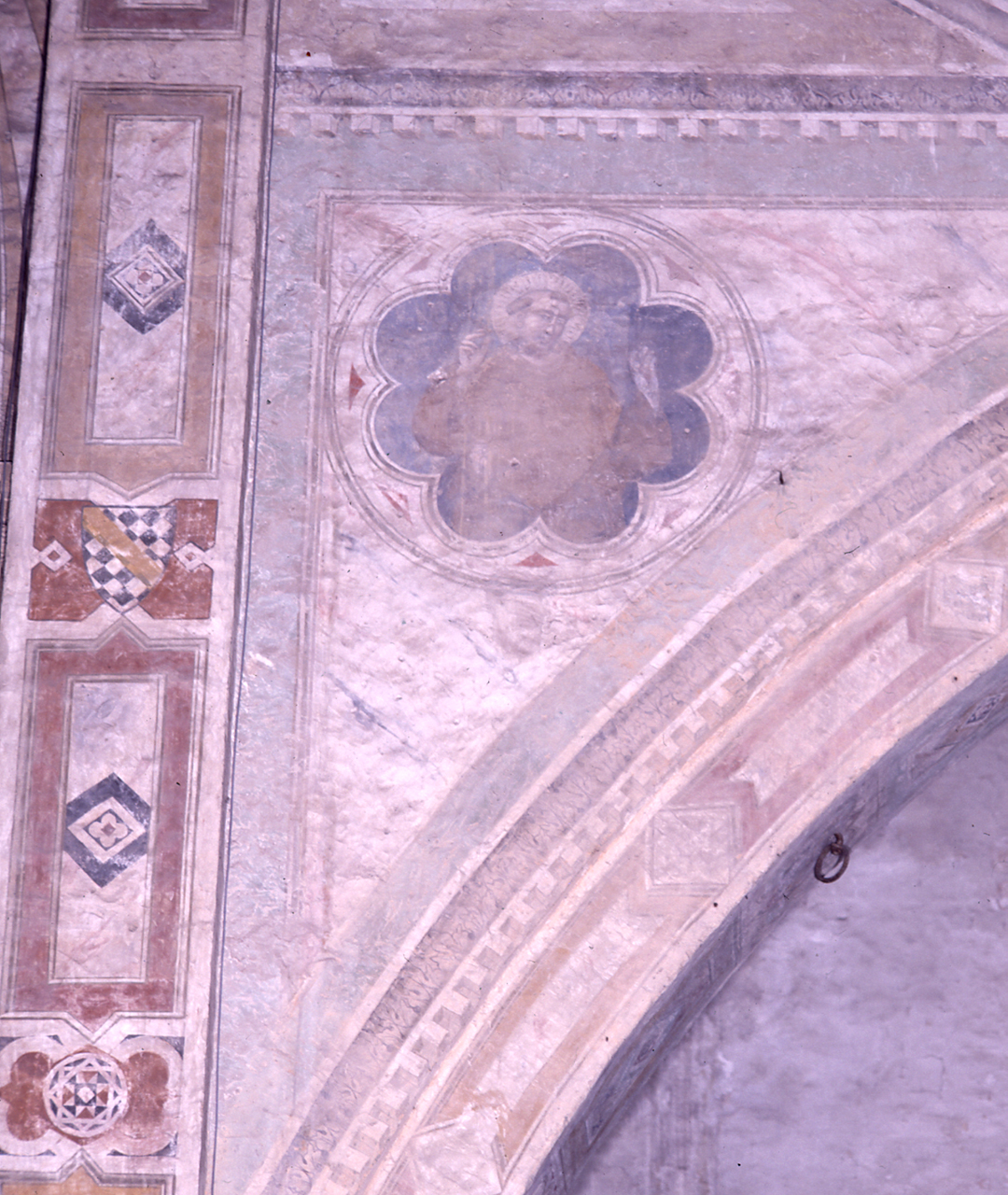 busto di San Francesco d'Assisi (dipinto) - ambito fiorentino (sec. XIV)