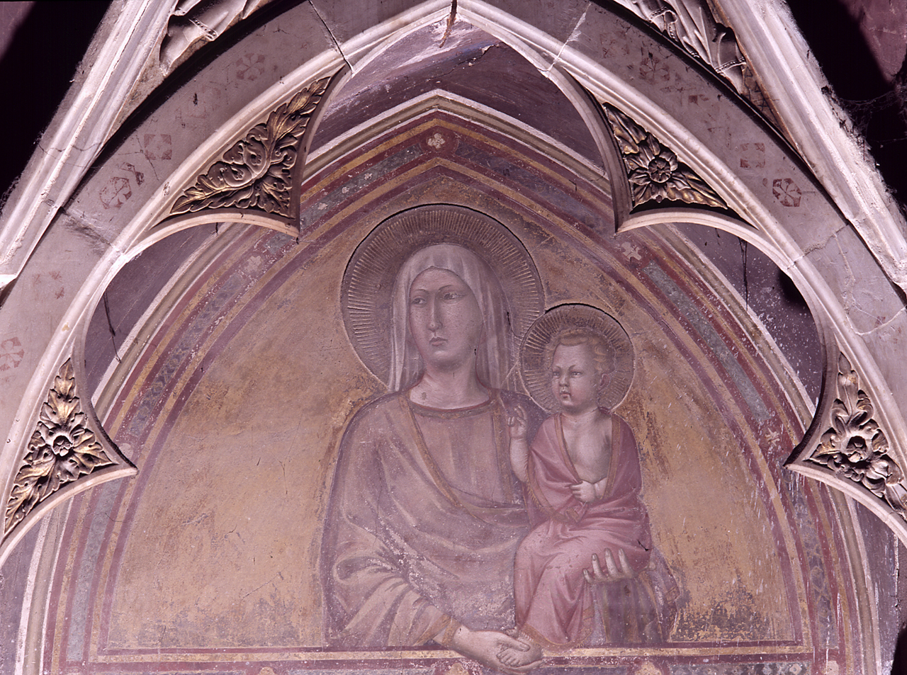 Madonna con Bambino (dipinto) di Gaddi Taddeo (sec. XIV)