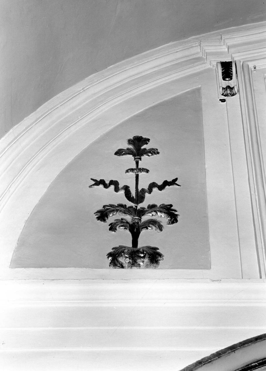 motivo decorativo fitomorfo (decorazione plastica, insieme) - manifattura toscana (sec. XVIII)