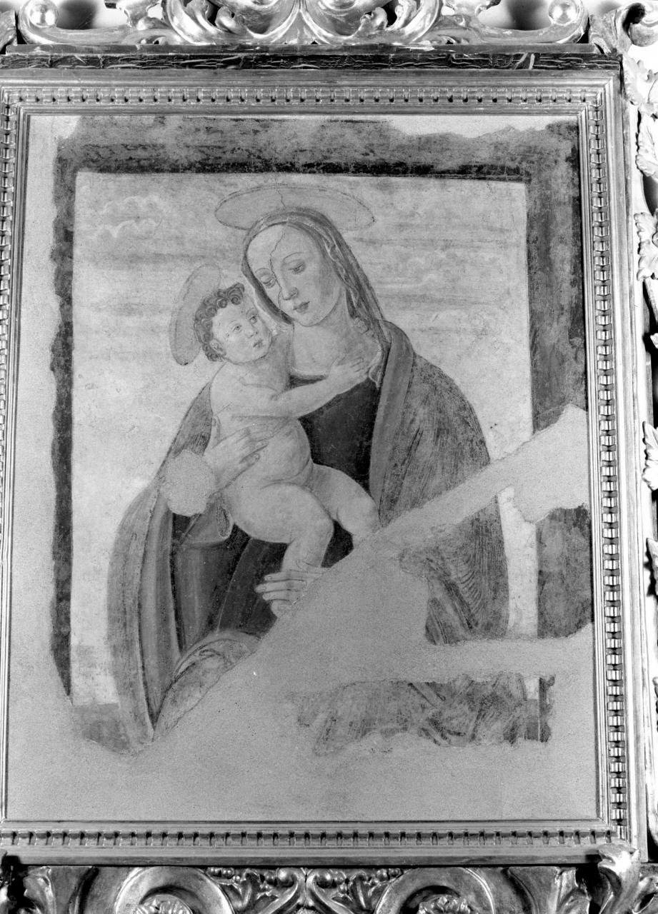 Madonna con Bambino (dipinto, frammento) di Lippi Filippino (attribuito) (sec. XV)