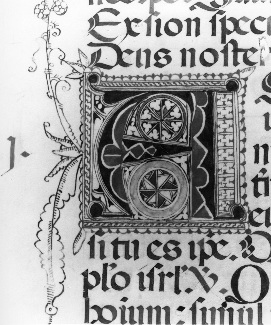 motivi decorativi geometrici (miniatura, serie) - bottega italiana (sec. XVI)