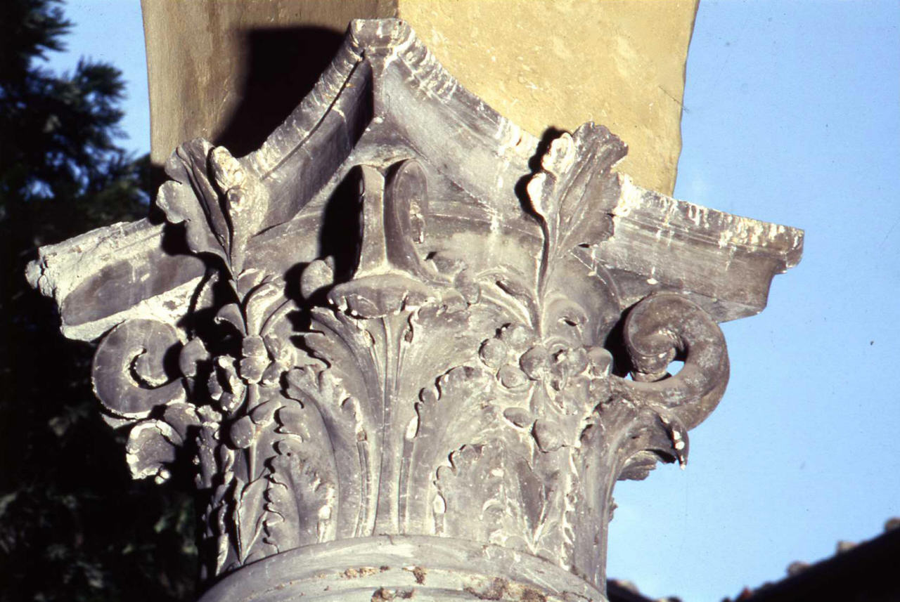 motivi decorativi vegetali (capitello di colonna) di Grazini Benedetto detto Benedetto da Rovezzano (attribuito) (fine/inizio secc. XV/ XVI)