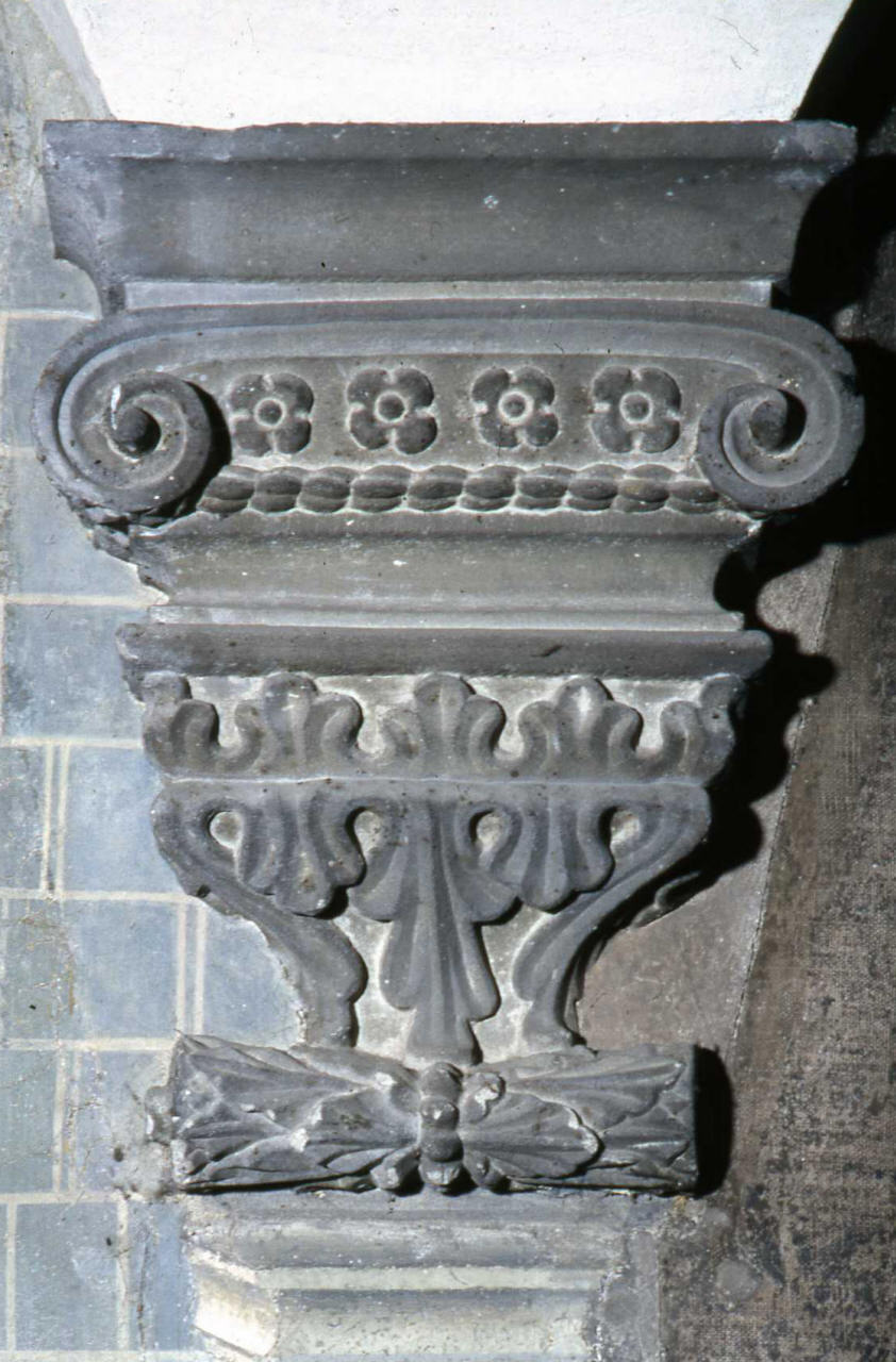 motivi decorativi vegetali (peduccio - figurato, serie) di Antonio di Domenico (attribuito) (sec. XV)