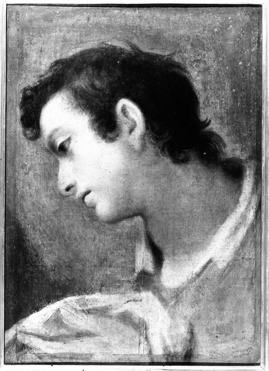 studio di testa giovanile (dipinto) di Cardi Ludovico detto Cigoli (sec. XVI)