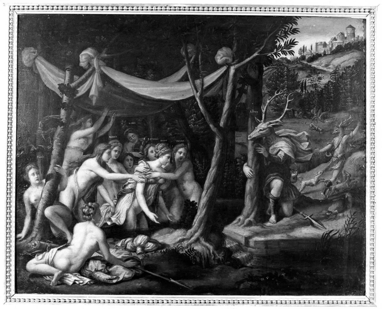 Diana e Atteone (dipinto) di Penni Luca detto Romanus (cerchia) (prima metà sec. XVI)