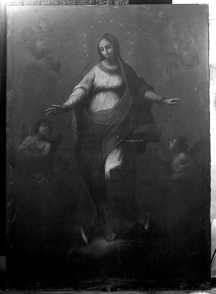 Immacolata Concezione con angeli (dipinto) di Sagrestani Giovanni Camillo (cerchia) (sec. XVIII)