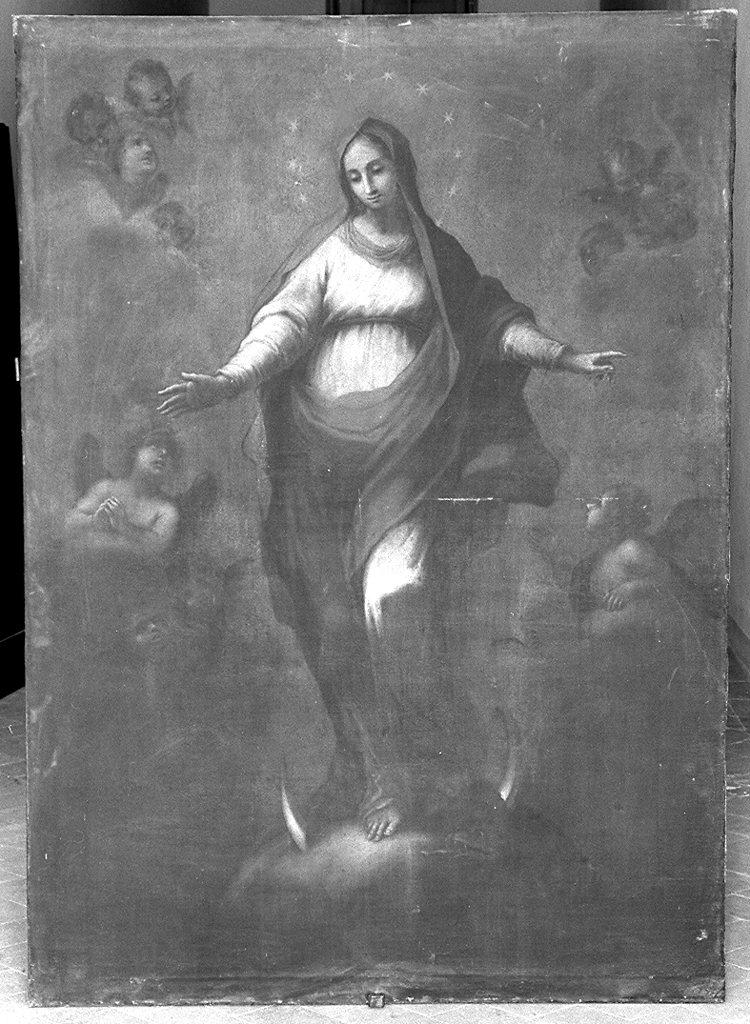 Madonna Immacolata (dipinto) di Sagrestani Giovanni Camillo (maniera) (prima metà sec. XVIII)