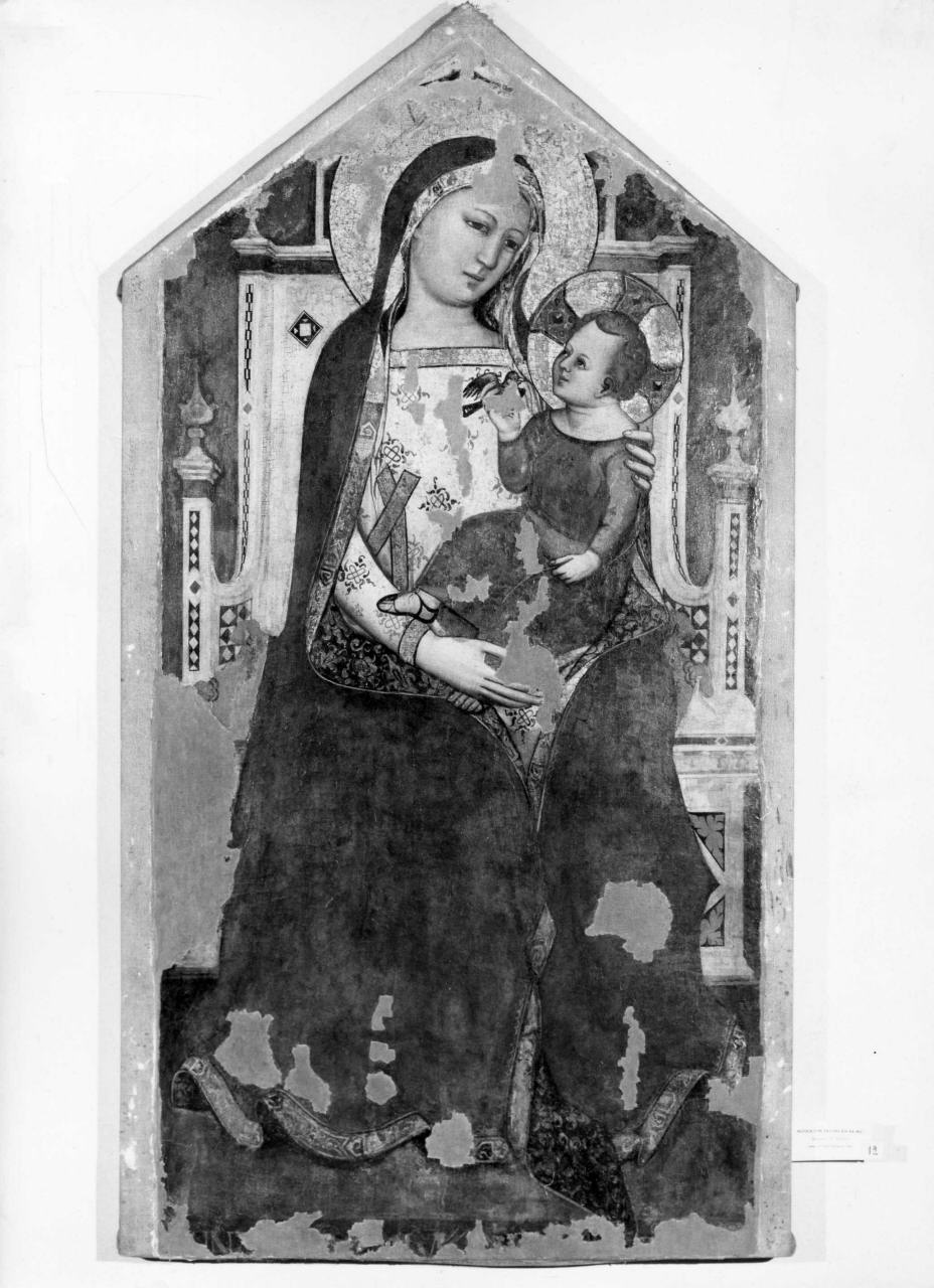 Madonna con Bambino (dipinto) di Daddi Bernardo (attribuito) (prima metà sec. XIV)