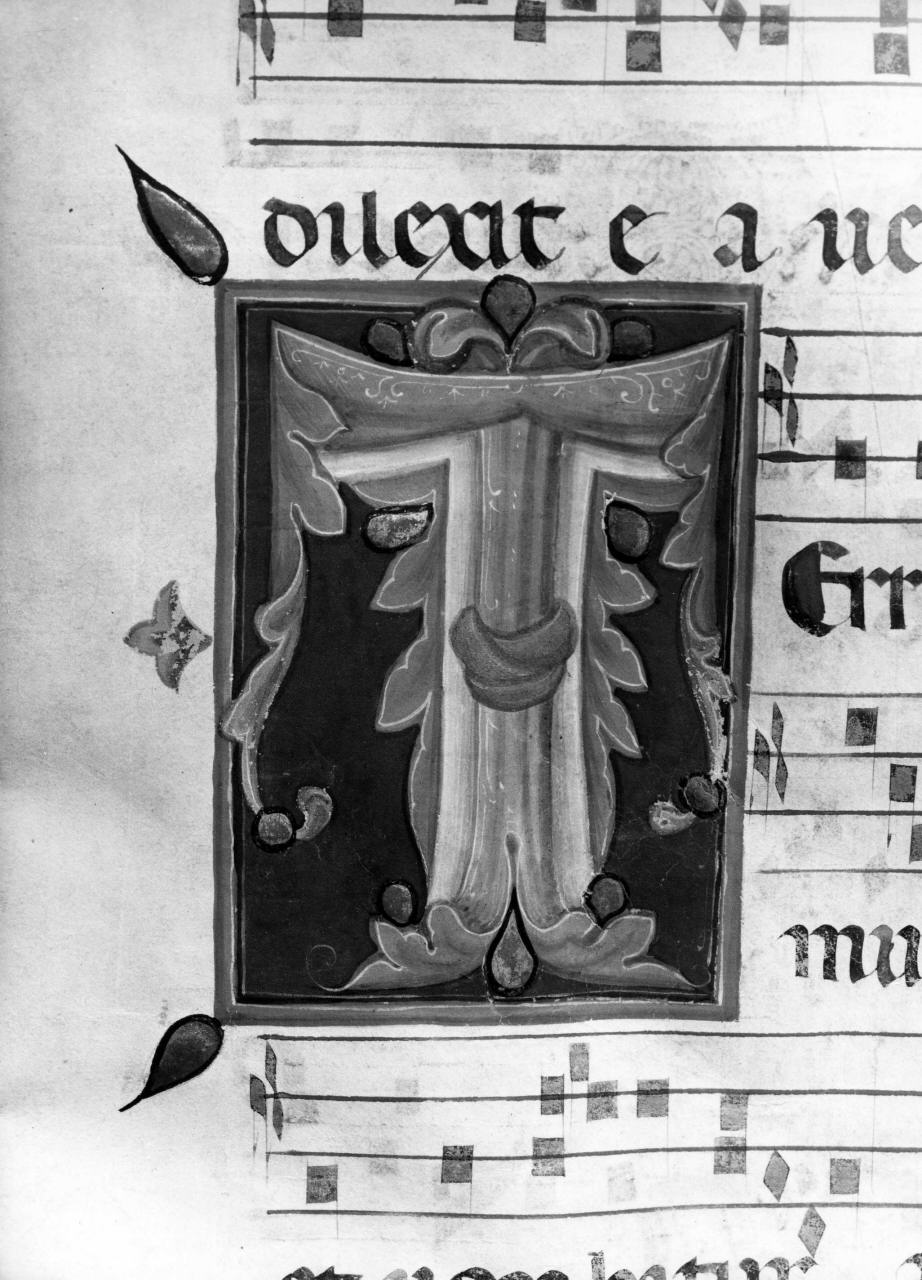 lettera T (miniatura) di Pacino di Buonaguida (bottega) (sec. XIV)
