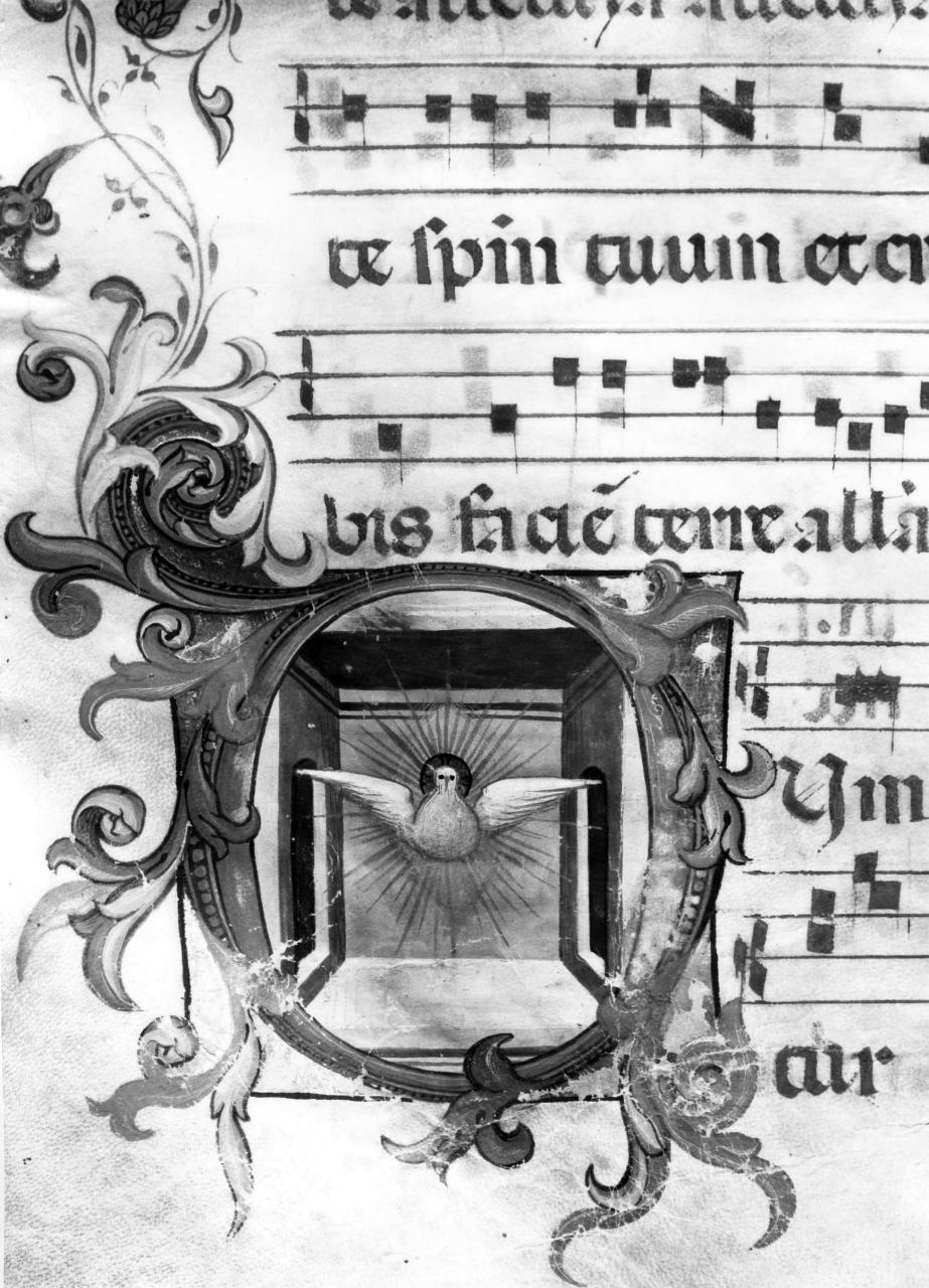 colomba dello Spirito Santo, lettera D (miniatura) di Simone Camaldolese (cerchia) (ultimo quarto sec. XIV)