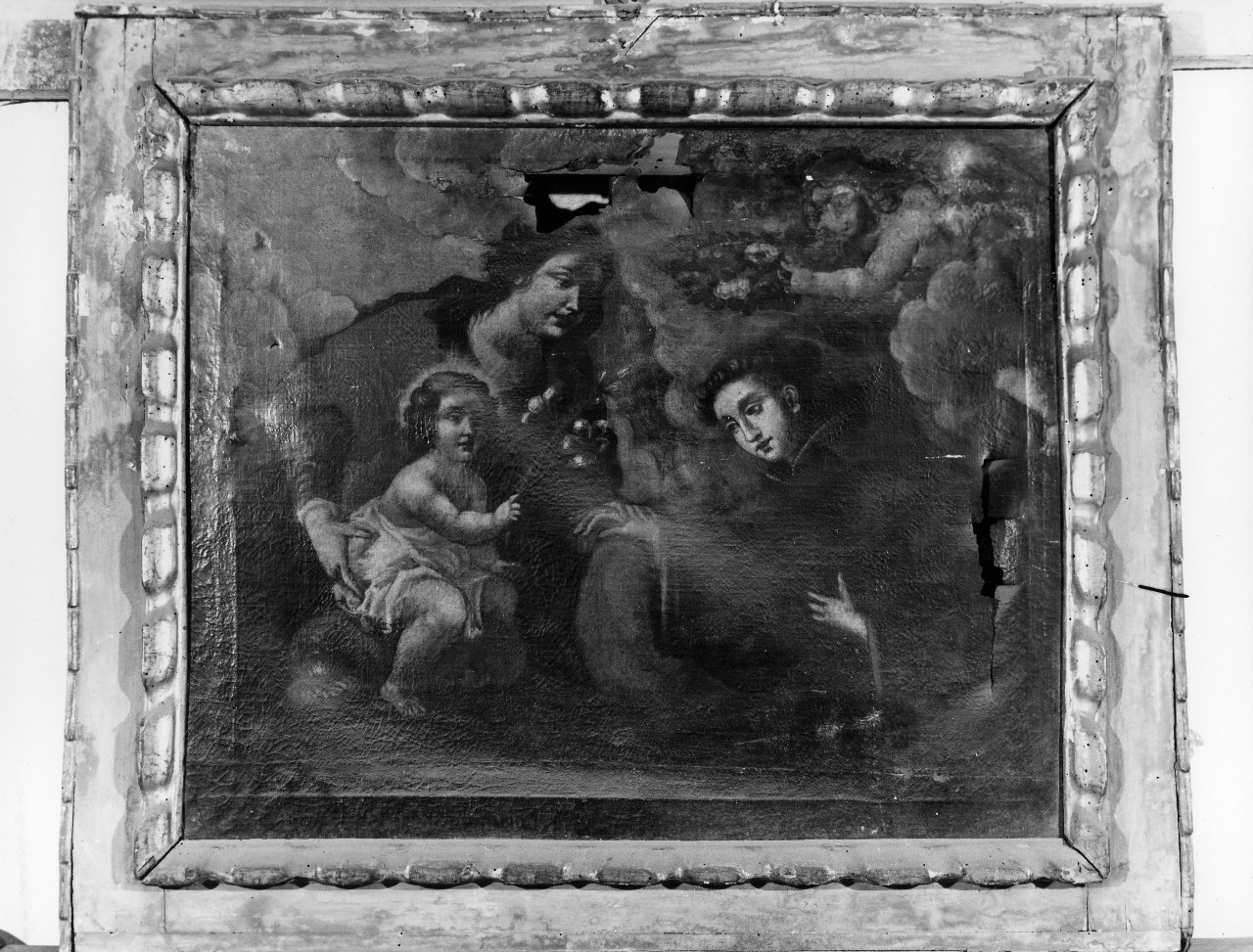 Madonna con Bambino e Sant'Antonio (dipinto) - ambito toscano (secc. XVII/ XVIII)
