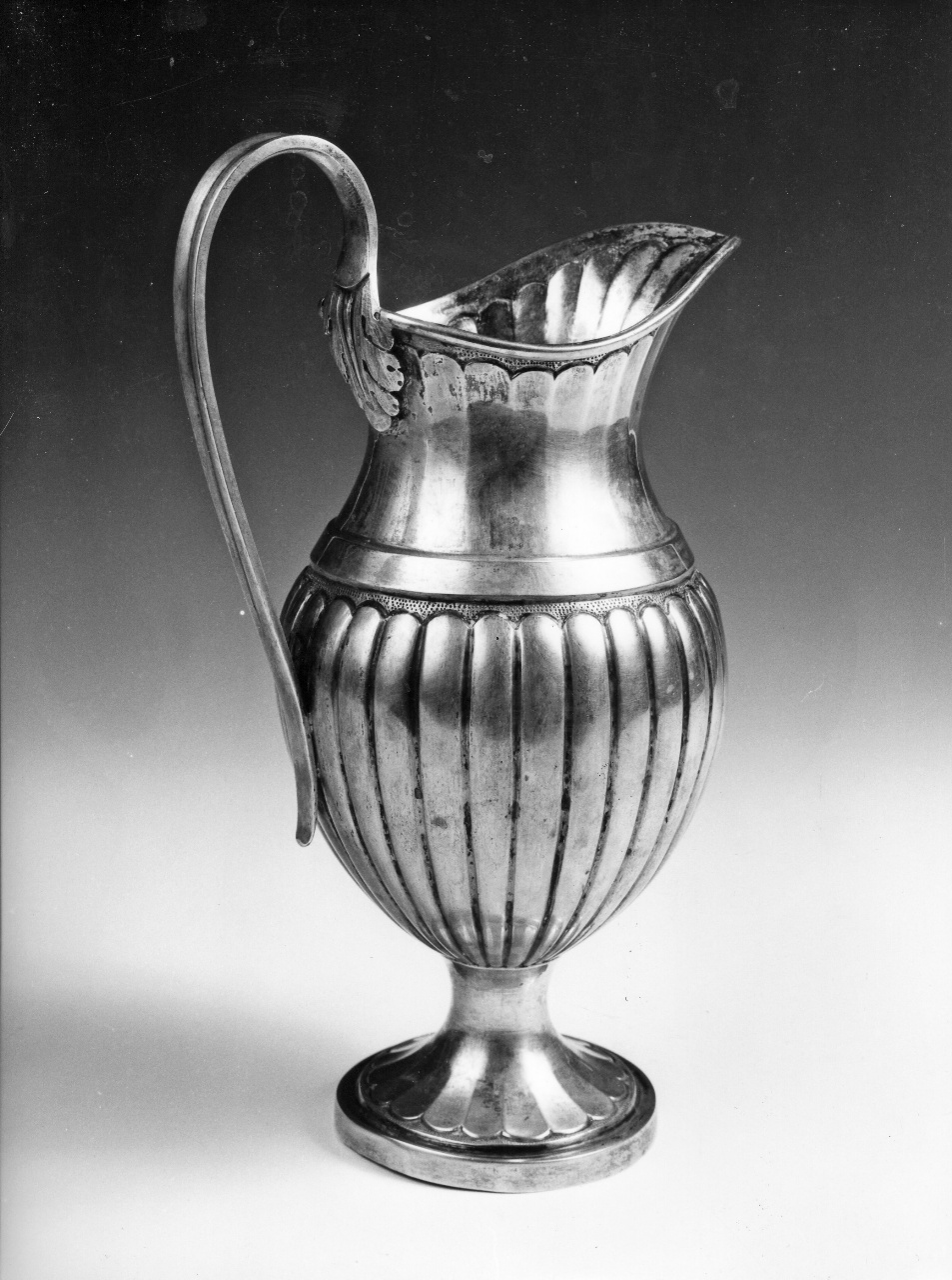 motivi decorativi vegetali (brocca) di Codacci Angelo (sec. XIX)