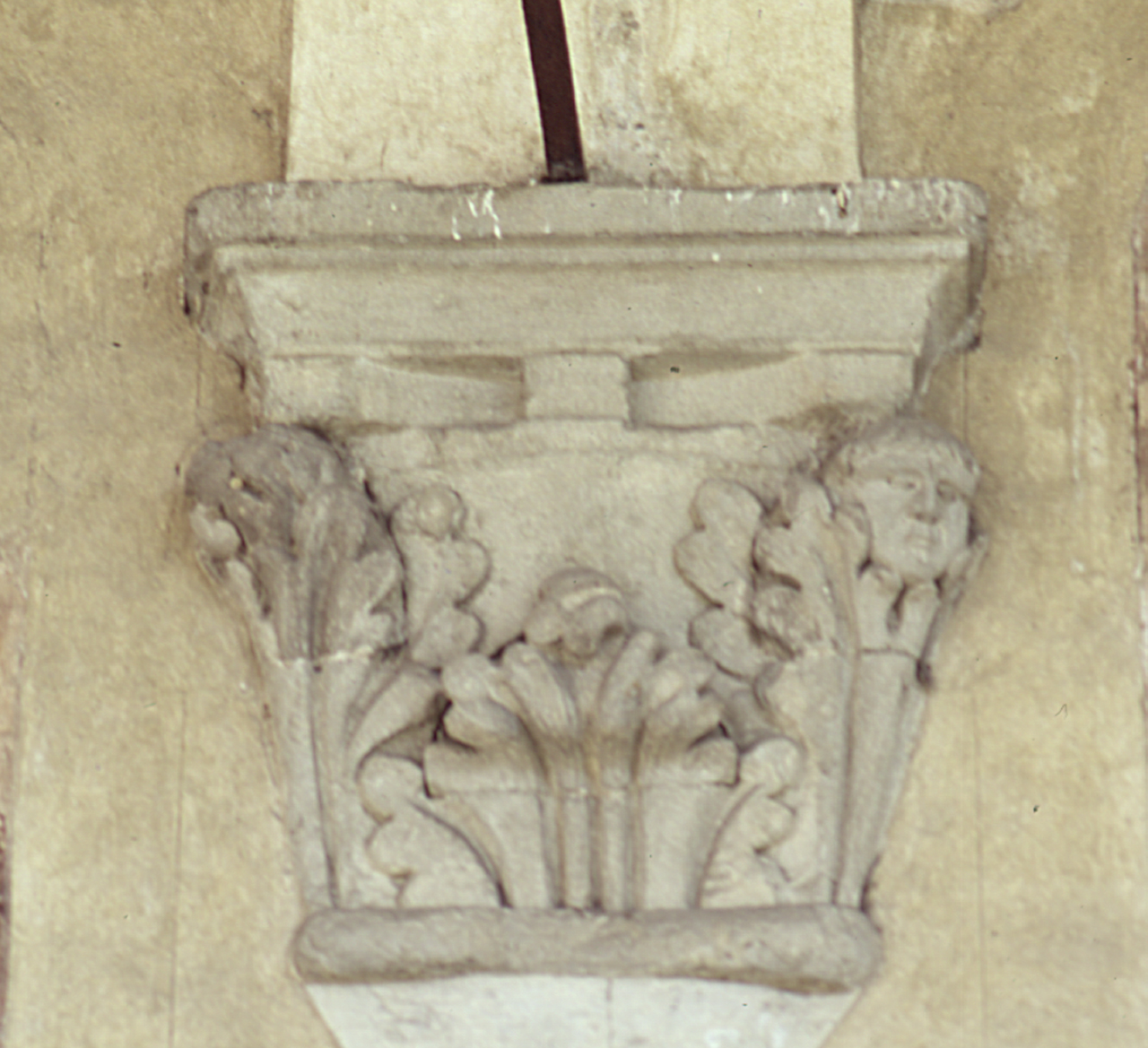 peduccio, serie - bottega fiorentina (seconda metà sec. XIV)