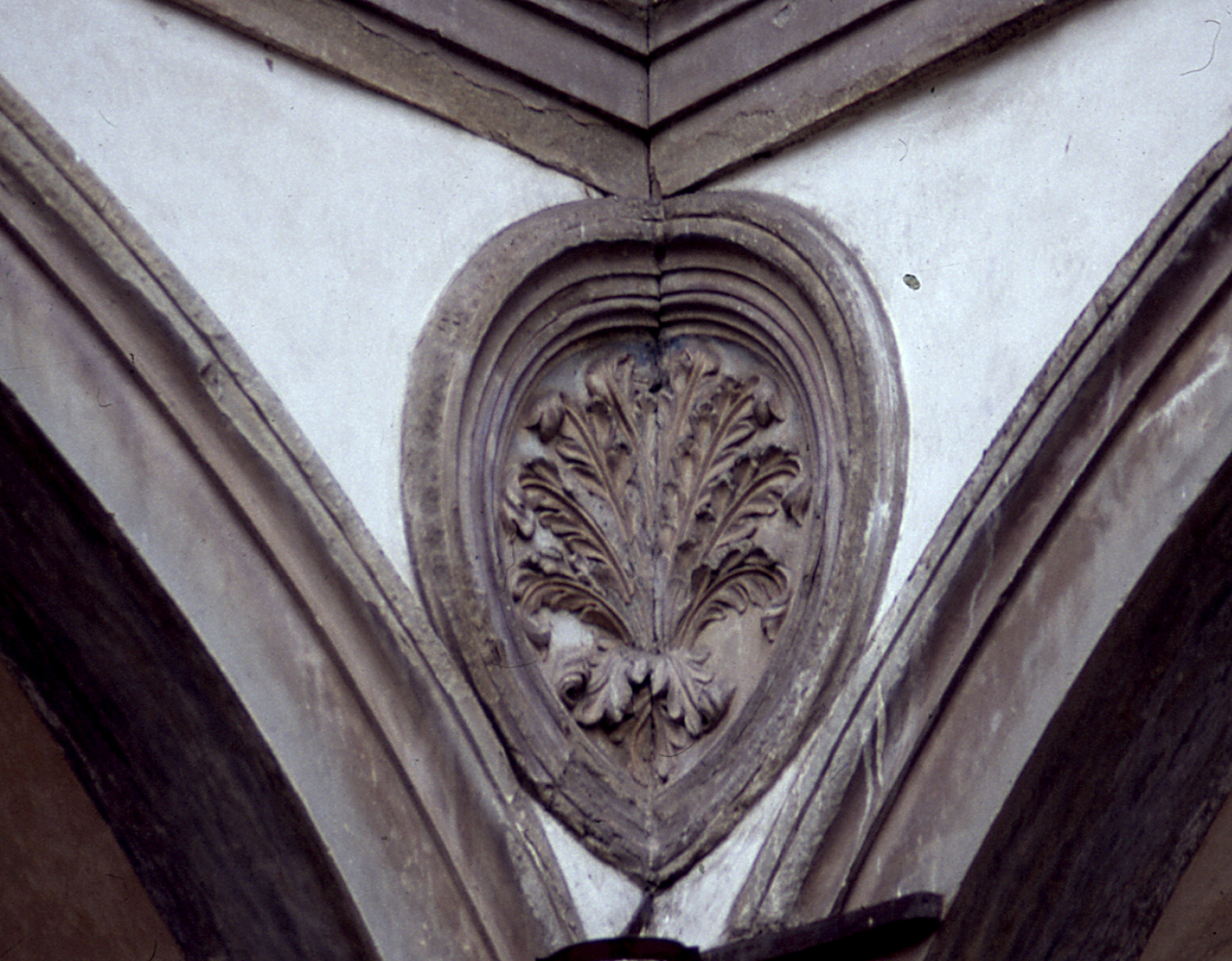 motivo decorativo vegetale (rilievo) di Rossellino Bernardo (e aiuti) (sec. XV)