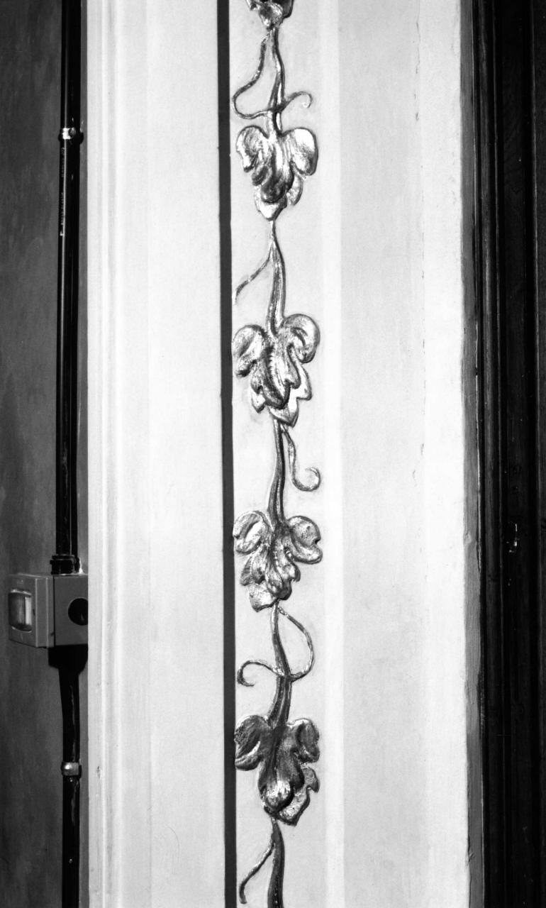 motivi decorativi vegetali (decorazione pittorica) - ambito fiorentino (inizio sec. XVIII)