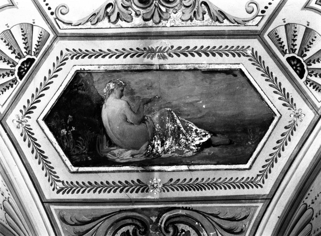 amorini di Giove, grottesche (soffitto dipinto) - ambito fiorentino (terzo quarto sec. XIX)