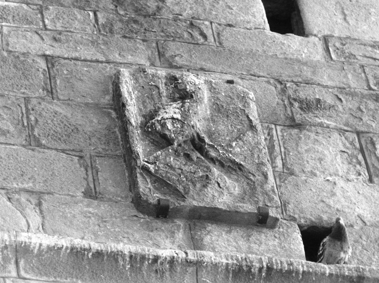 stemma gentilizio (rilievo) - manifattura toscana (sec. XV)