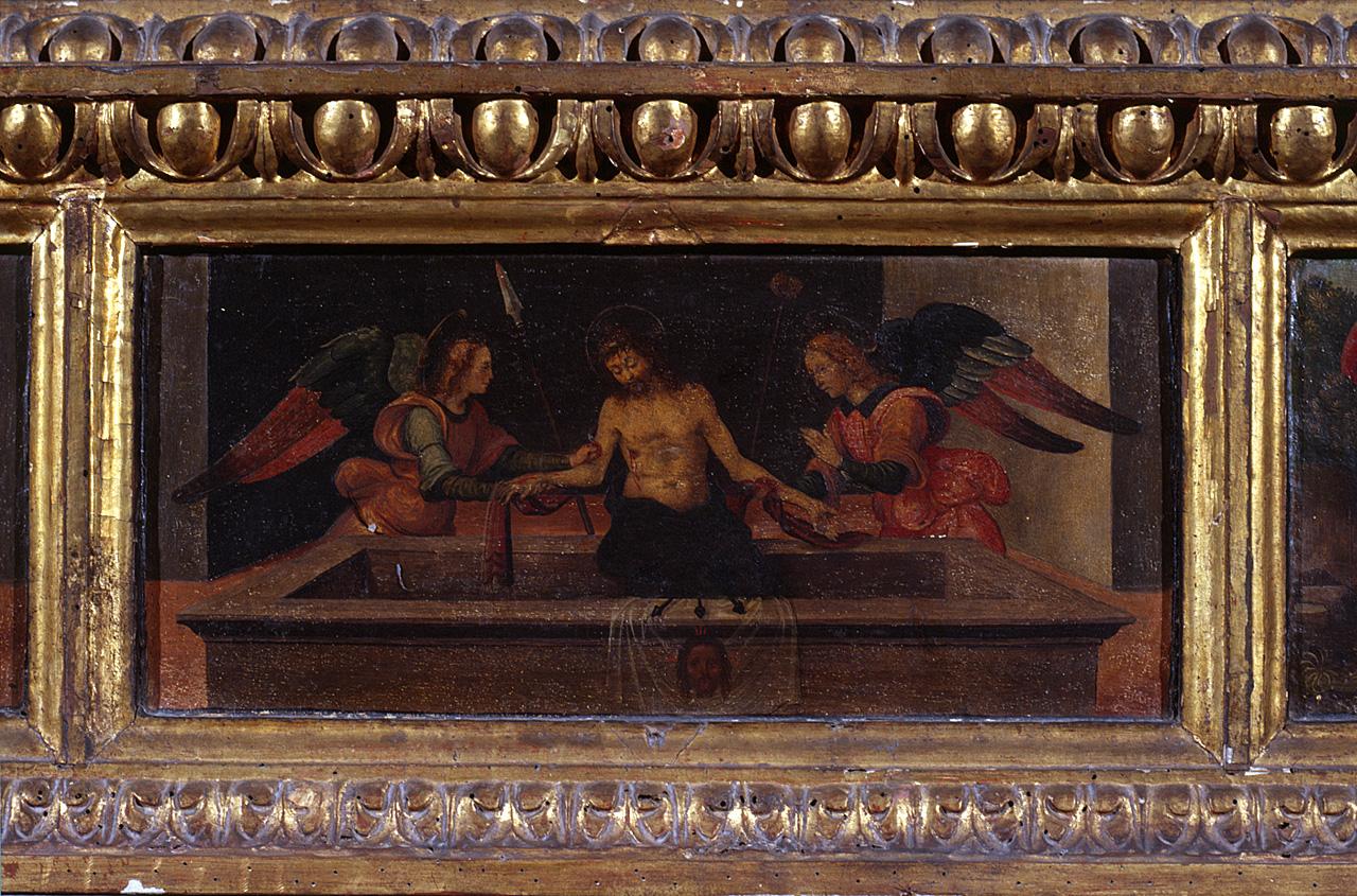 Cristo in pietà sorretto da angeli (scomparto di predella) - ambito toscano (sec. XVI)