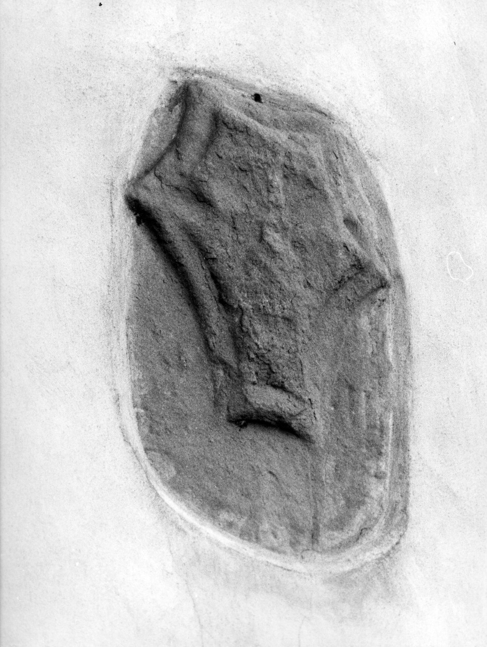 stemma gentilizio (rilievo) - manifattura toscana (secc. XIV/ XV)