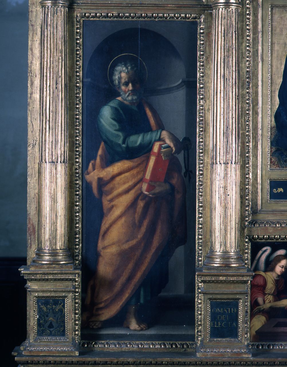 San Pietro Apostolo (dipinto) di Sogliani Giovanni Antonio (prima metà sec. XVI)