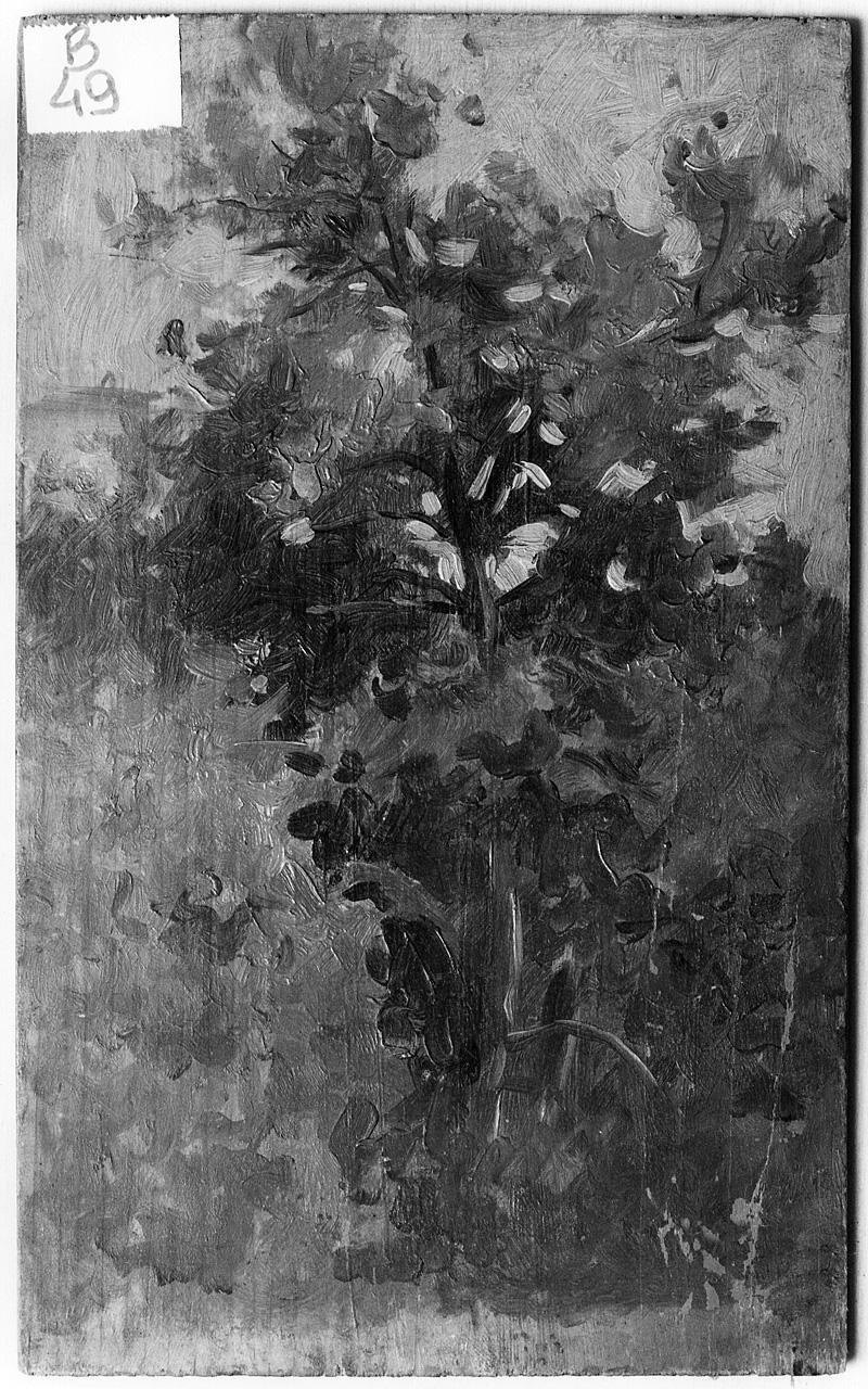 paesaggio con alberi (dipinto) - ambito romano (seconda metà sec. XIX)