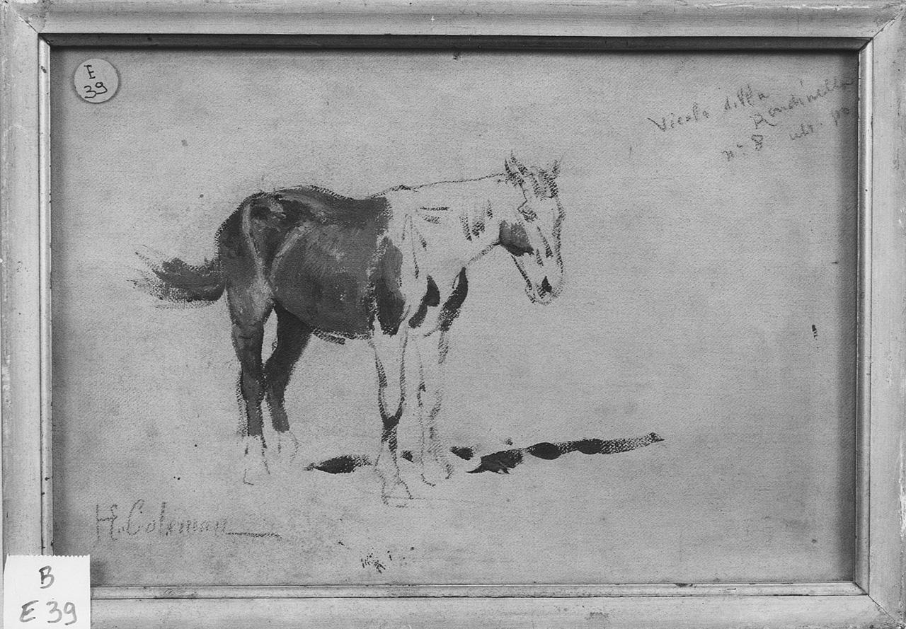 cavallo (dipinto) di Coleman Enrico (ultimo quarto sec. XIX)